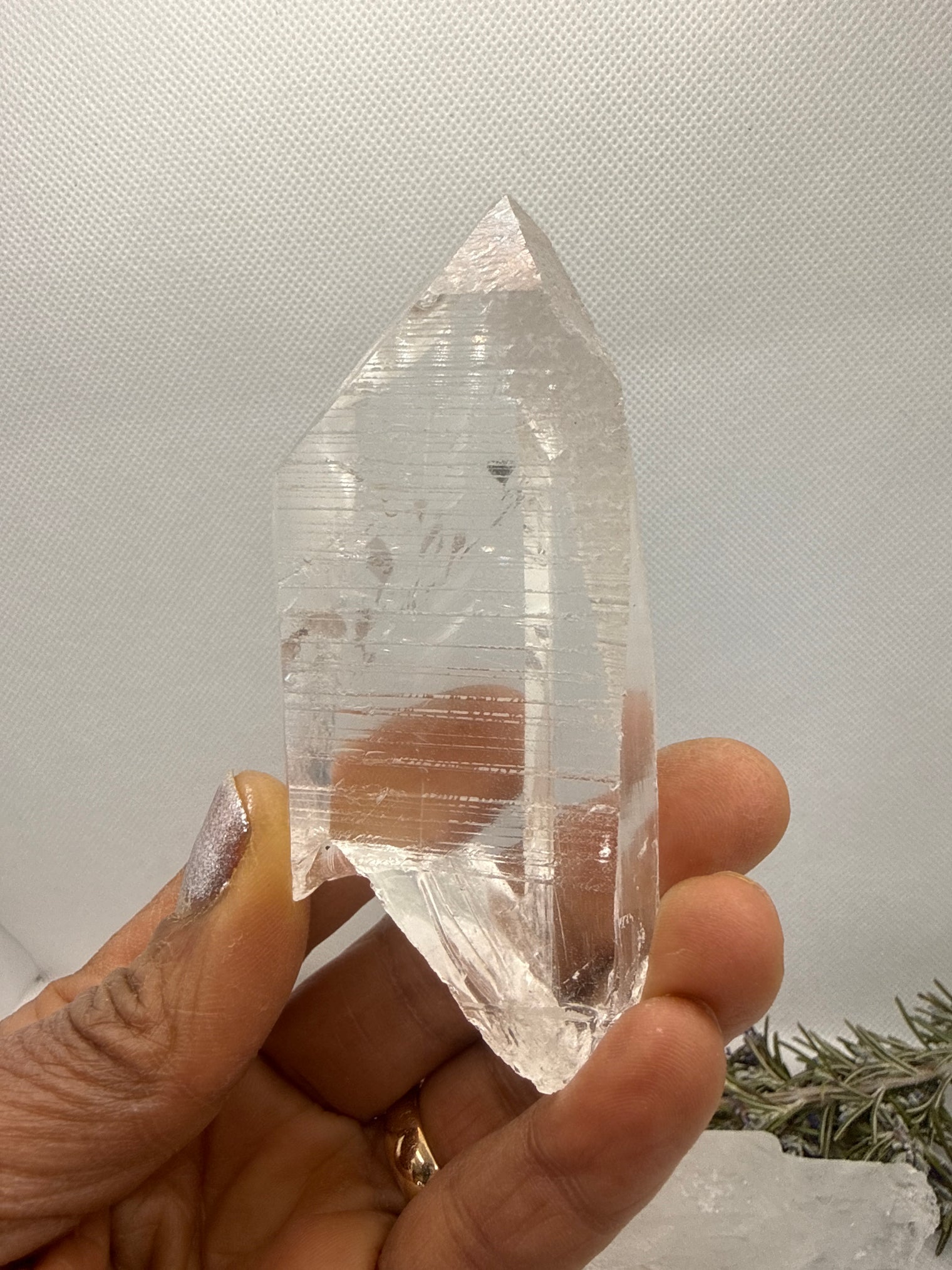 Lemurian Seed Tabby Crystal RARE from Brazil,113 gms, 4 inches
