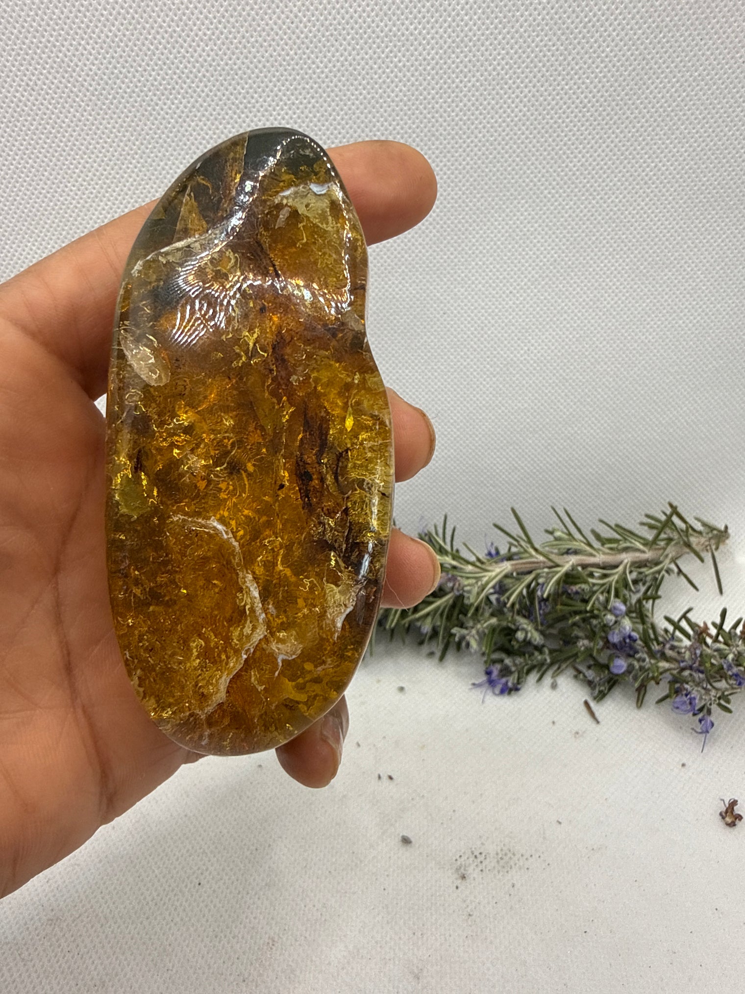 Amber Stone from Chiapas, Mexico, 3.4 inch Large Genuine Amber, 530 Carats , Green Fluorescent Mineral