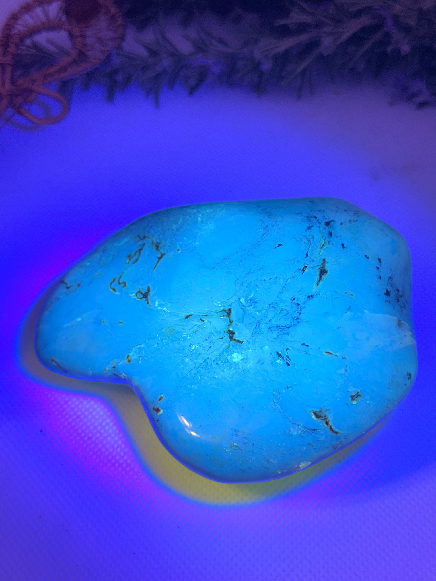 Amber Stone from Chiapas, Mexico, 3.5 inch Large Genuine Amber, 630 Carats , Green Fluorescent Mineral