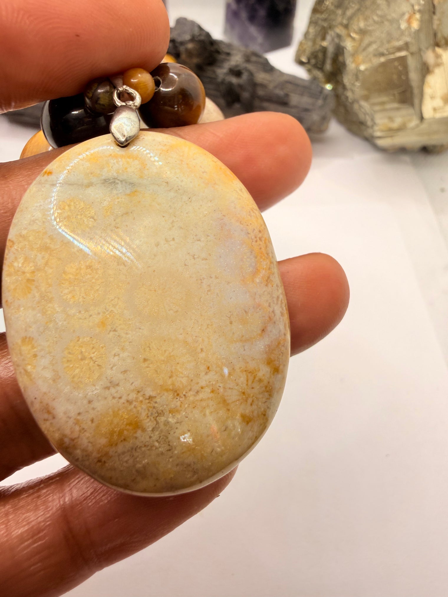 Tiger Eye and Fossil Coral Necklace and Fossil Coral Pendant ~ 20 Inches