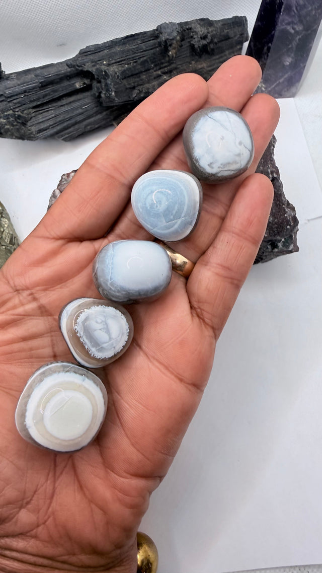 A hand holds five polished tumbled stones with a light blue and white evil eye opal from india
pattern, with dark mineral specimens in the background.
