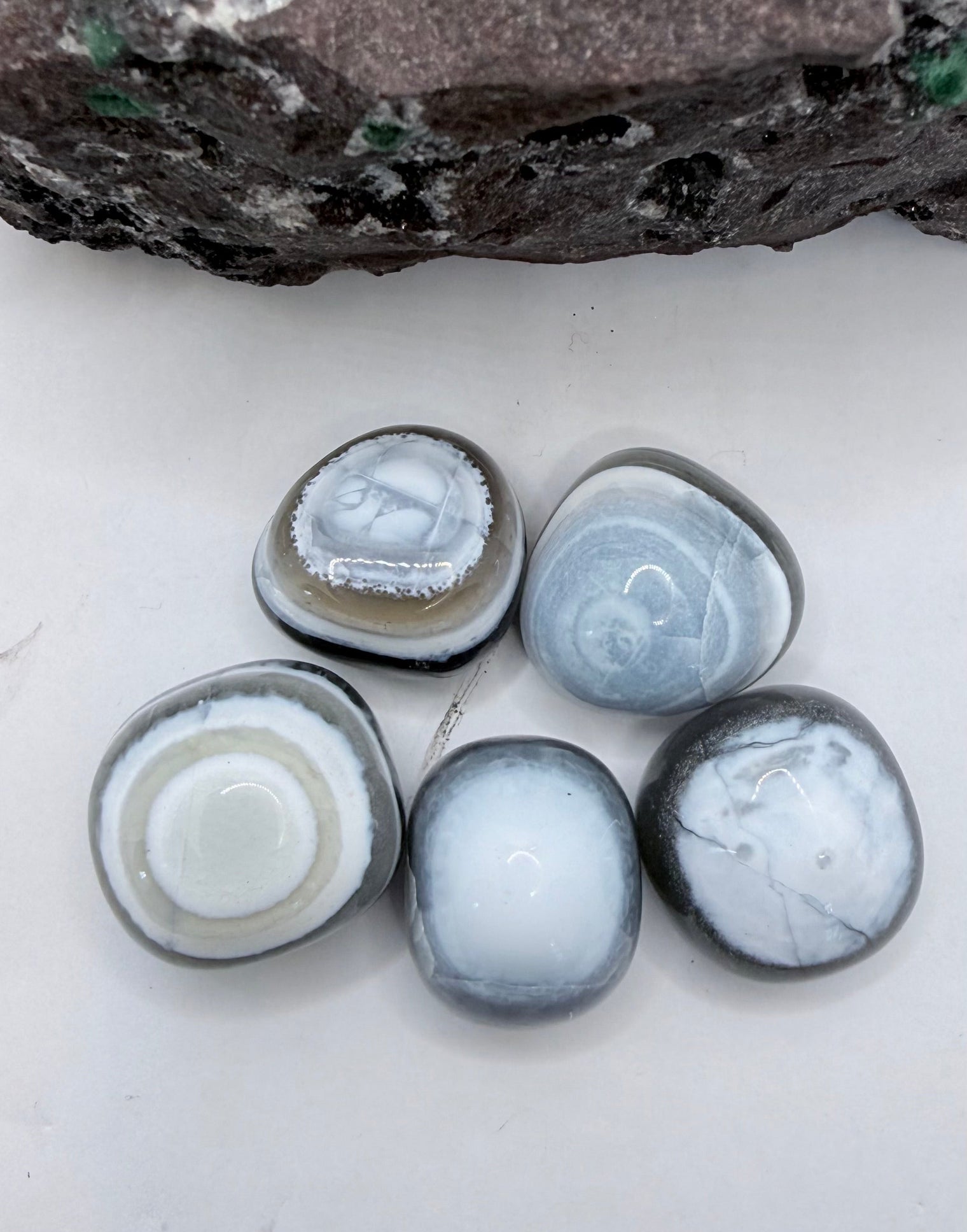 Five polished blue evil eye opal gemstone cabochons with swirling white, gray, and black banding patterns, arranged on a white surface below a rough stone.