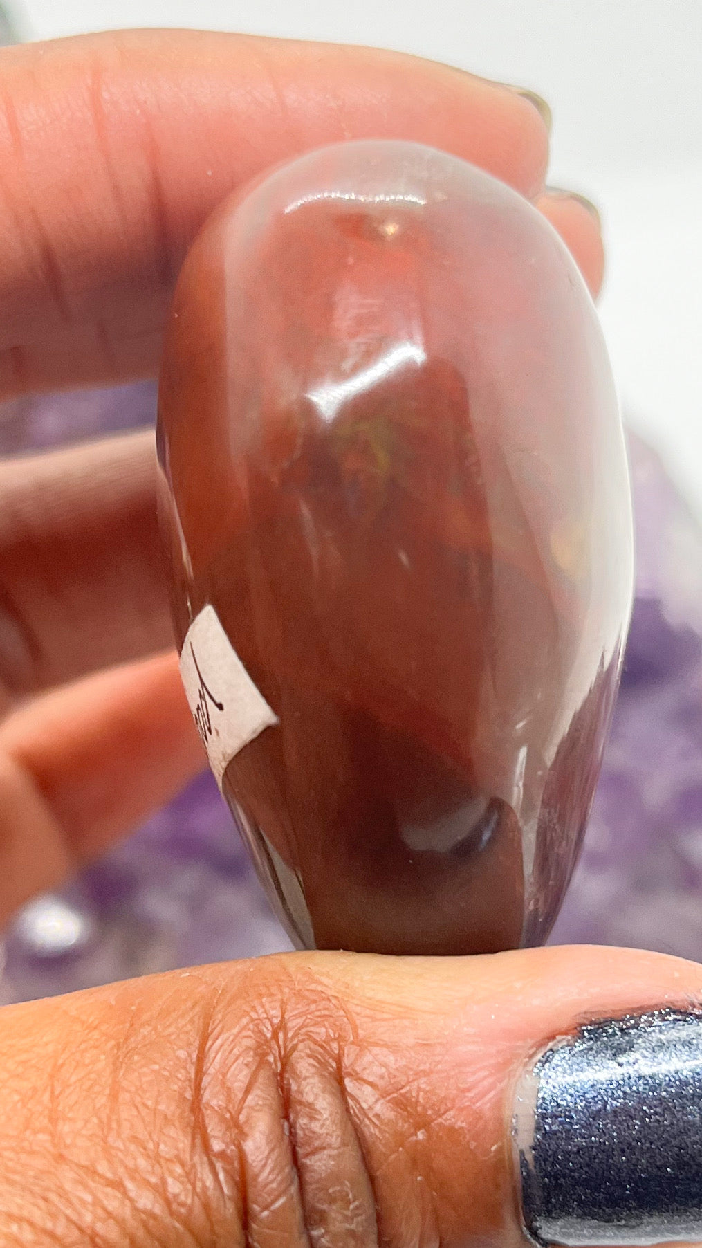 Petrified Wood 2.5-inch Heart Crystal Mineral Specimen