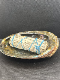 Abalone Shell 6-inch- Beautiful!