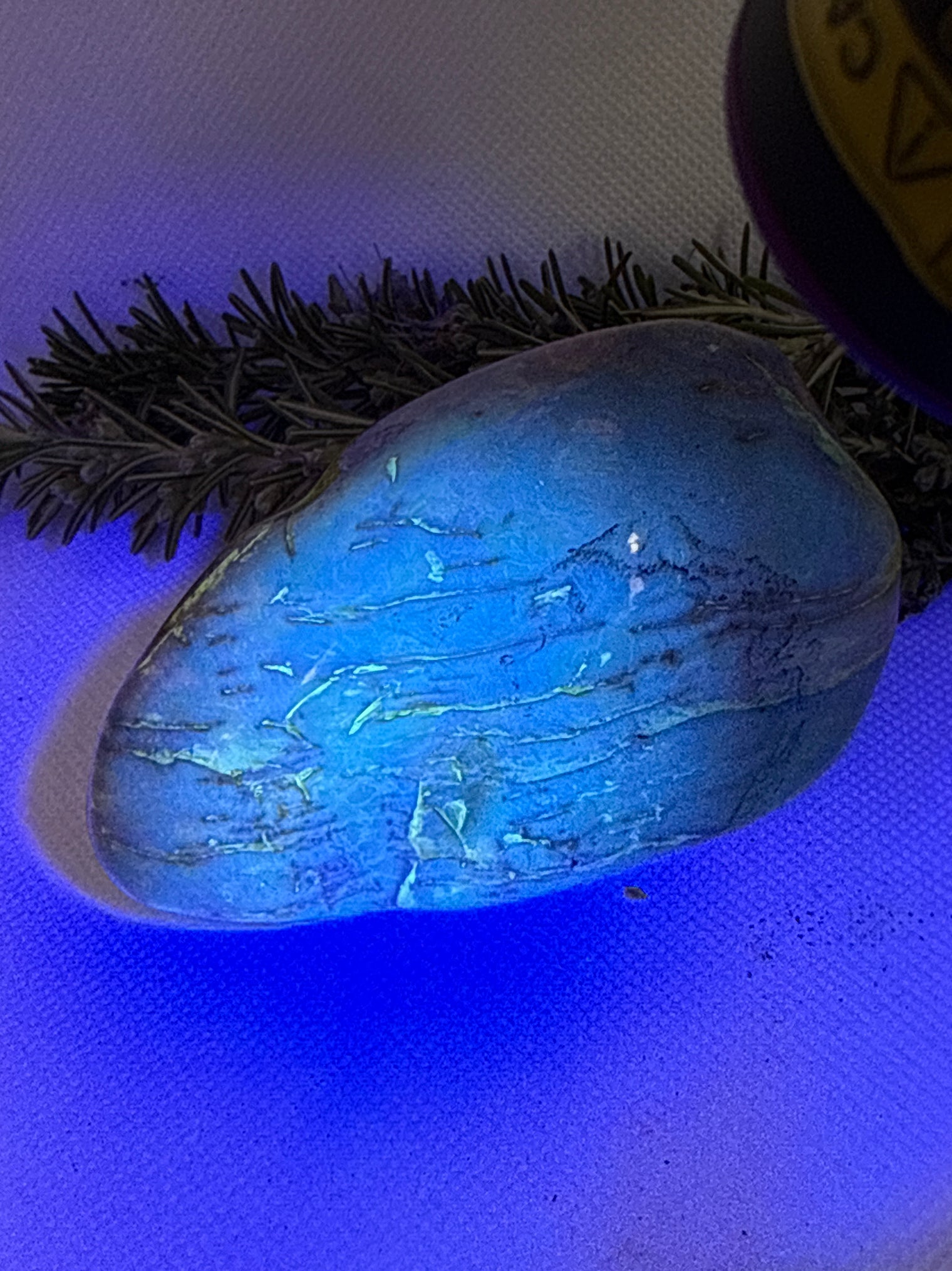 Amber Stone from Chiapas, Mexico, 3.4 inch Large Genuine Amber, 530 Carats , Green Fluorescent Mineral