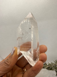 Lemurian Seed Tabby Crystal RARE from Brazil,113 gms, 4 inches