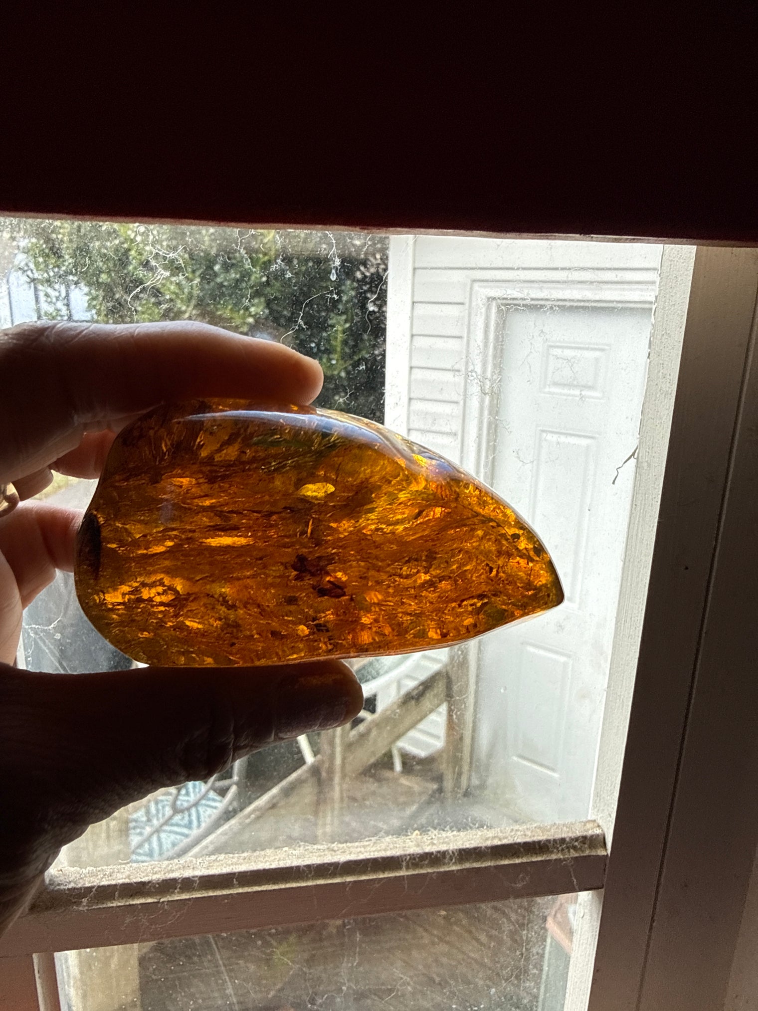 Amber Stone from Chiapas, Mexico, 3.4 inch Large Genuine Amber, 530 Carats , Green Fluorescent Mineral
