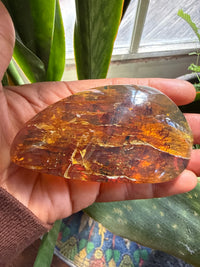Amber Stone from Chiapas, Mexico, 3.4 inch Large Genuine Amber, 530 Carats , Green Fluorescent Mineral
