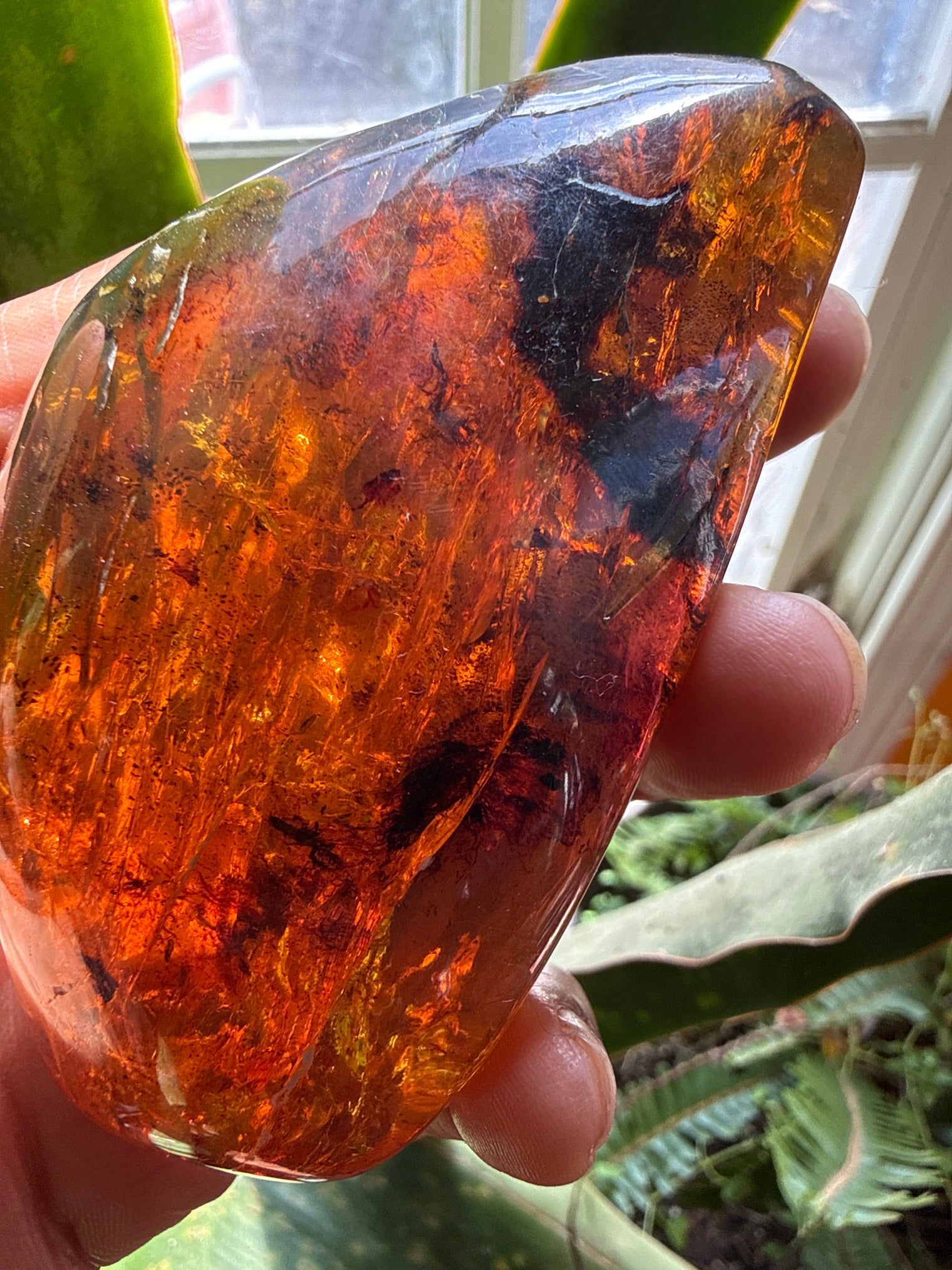 Amber Stone from Chiapas, Mexico, 3.4 inch Large Genuine Amber, 460 Carats , Green Fluorescent Mineral