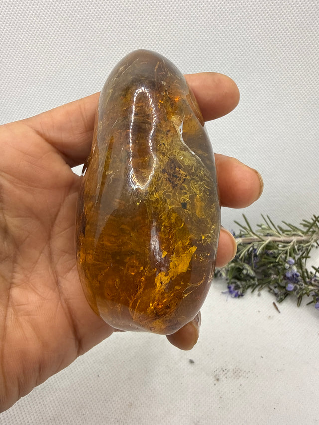 Amber Stone from Chiapas, Mexico, 3.4 inch Large Genuine Amber, 530 Carats , Green Fluorescent Mineral