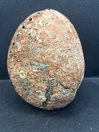 Abalone Shell 6-inch- Beautiful!
