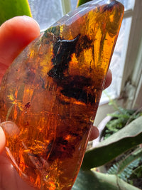 Amber Stone from Chiapas, Mexico, 3.4 inch Large Genuine Amber, 460 Carats , Green Fluorescent Mineral
