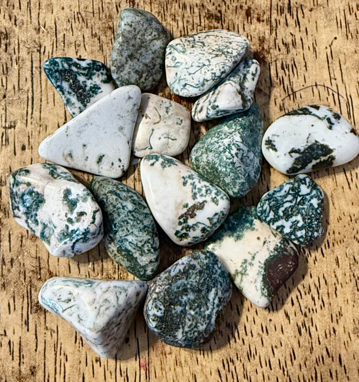 Moss Agate Tumble Stone 1-1.5 inch
