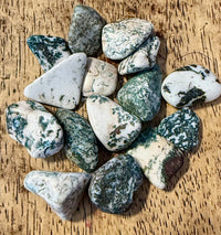 Moss Agate Tumble Stone 1-1.5 inch