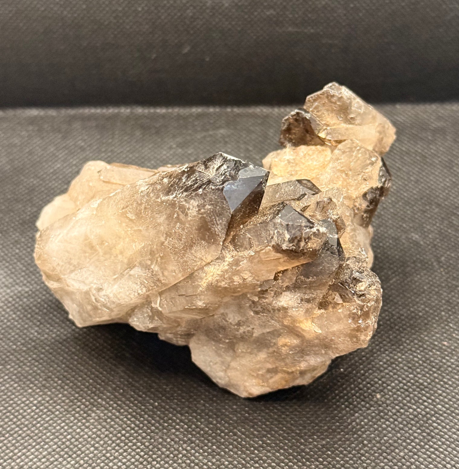 1lb Smoky Quartz Cluster Natural Druzy Mineral