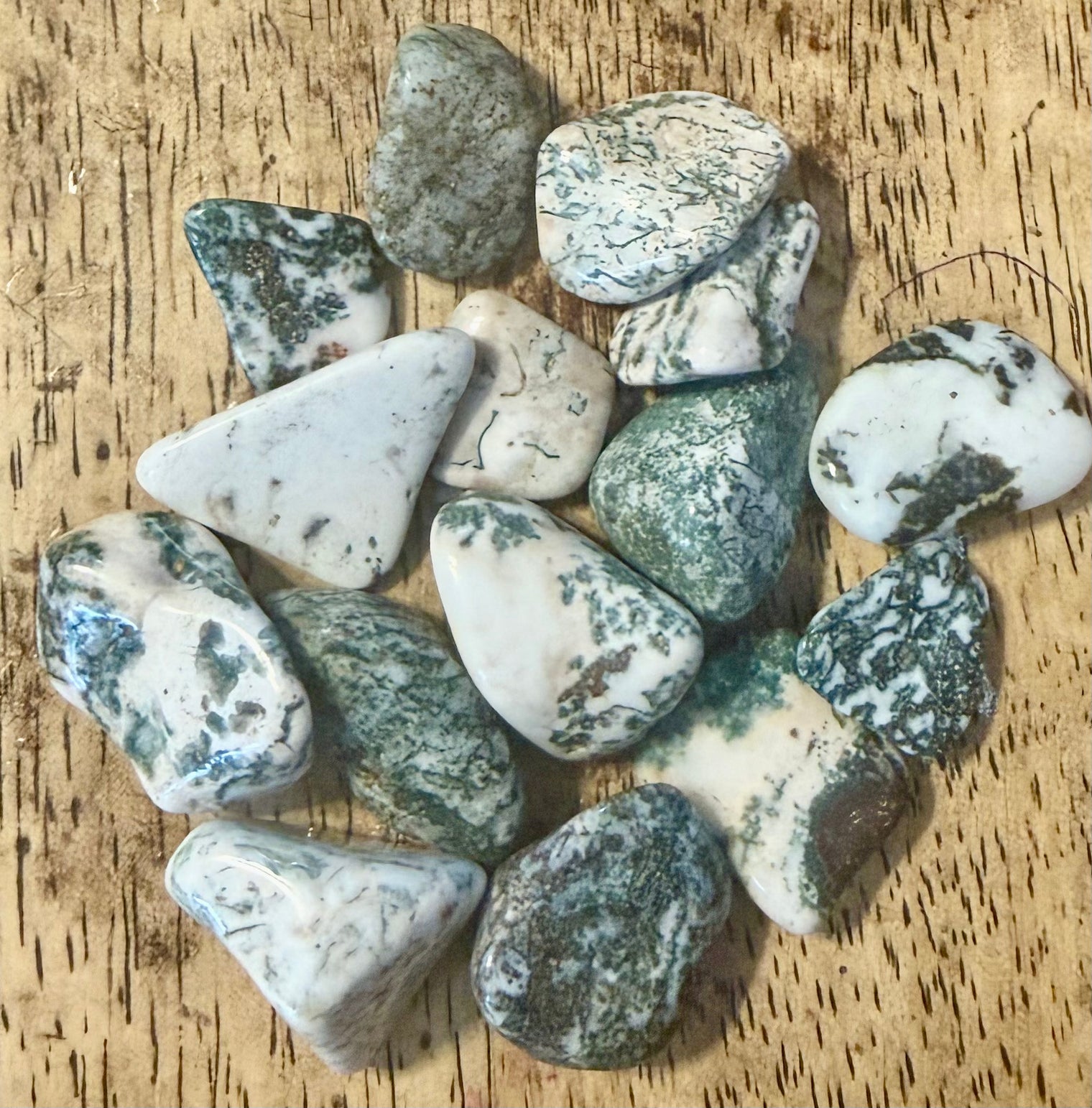 Moss Agate Tumble Stone 1-1.5 inch