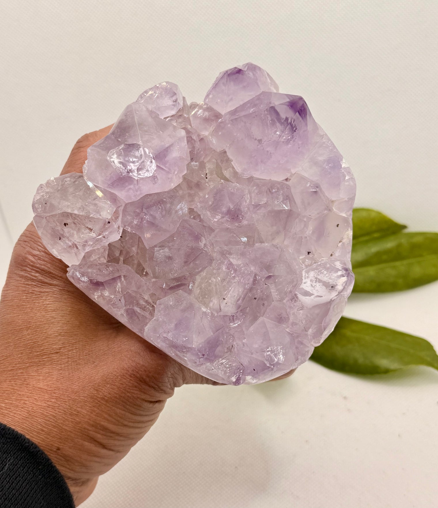 Amethyst “Cupcake” Druzy Crystal Quartz 2.1 lb Specimen