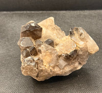 1lb Smoky Quartz Cluster Natural Druzy Mineral