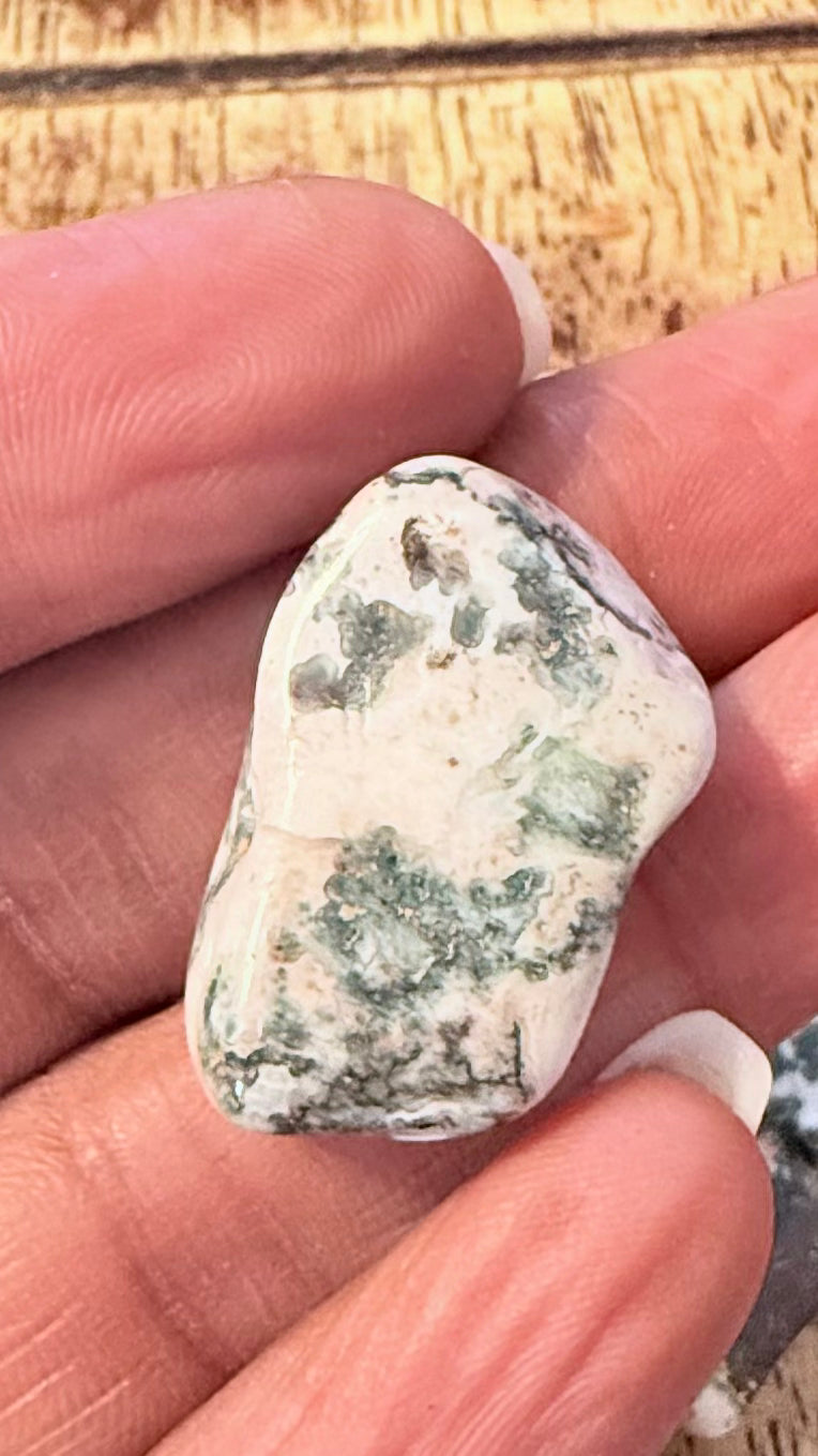Moss Agate Tumble Stone 1-1.5 inch