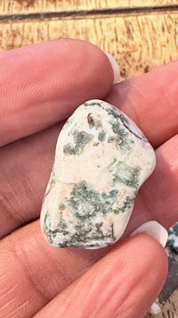 Moss Agate Tumble Stone 1-1.5 inch