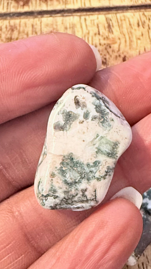 Moss Agate Tumble Stone 1-1.5 inch