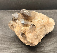 1lb Smoky Quartz Cluster Natural Druzy Mineral