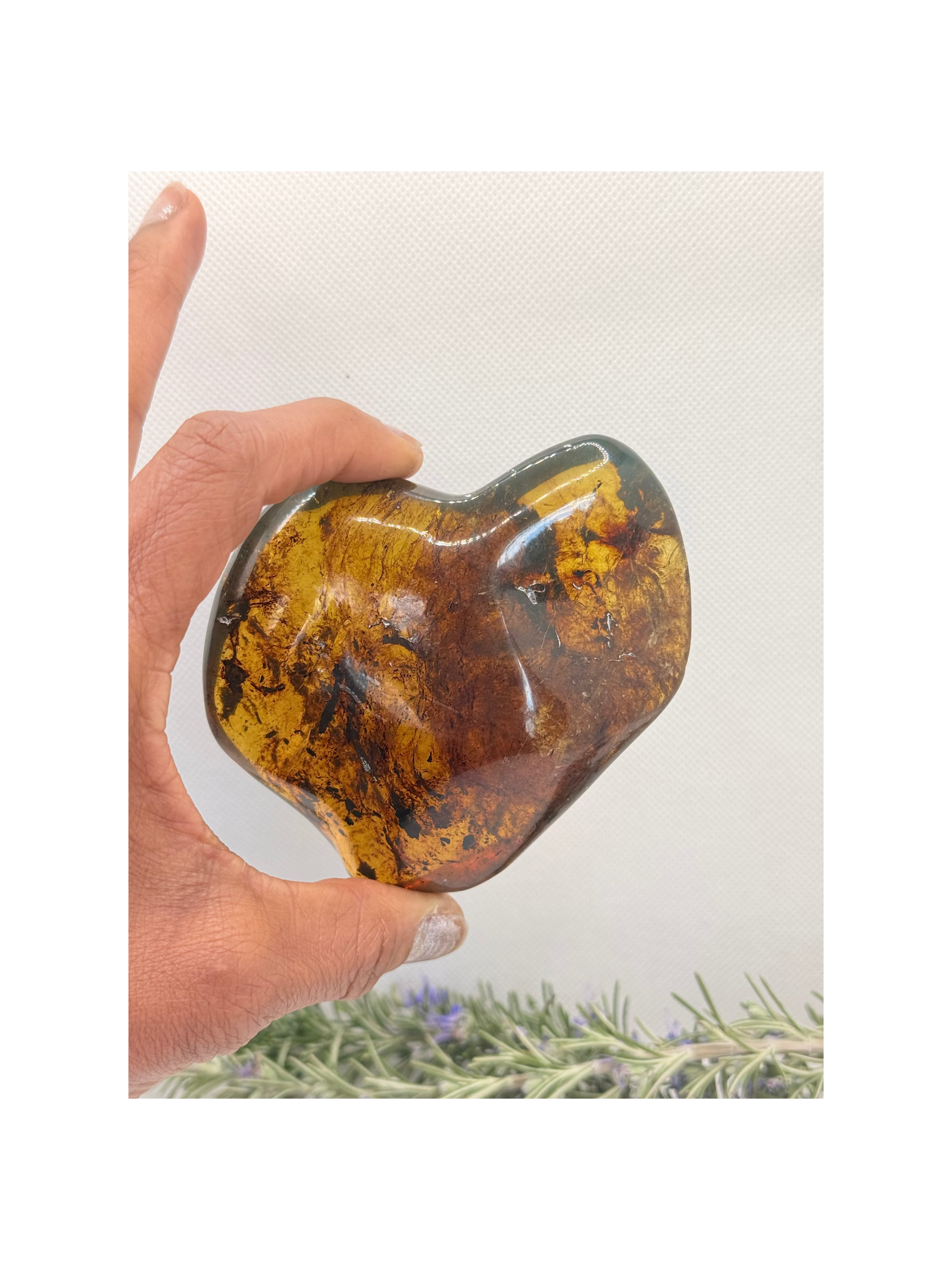 Amber Stone from Chiapas, Mexico, 3.5 inch Large Genuine Amber, 630 Carats , Green Fluorescent Mineral
