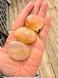 Golden Healer Palm Stone