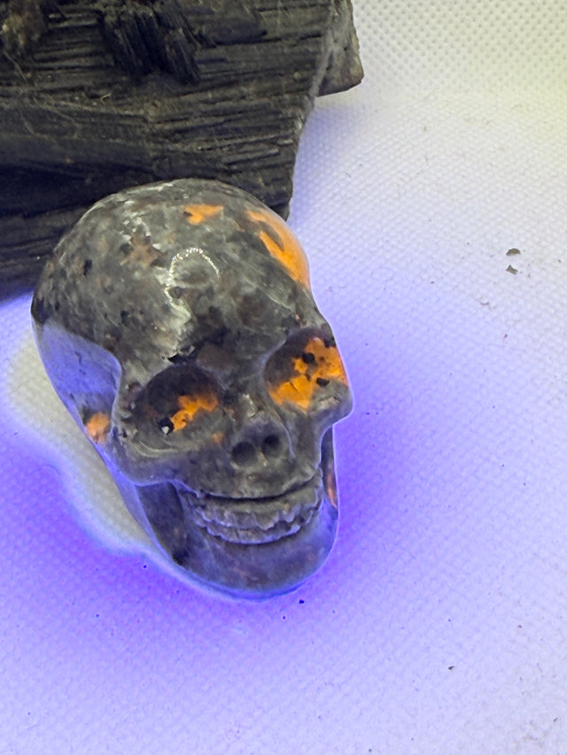 Yooperlite UV Reactive Skull 2 inch