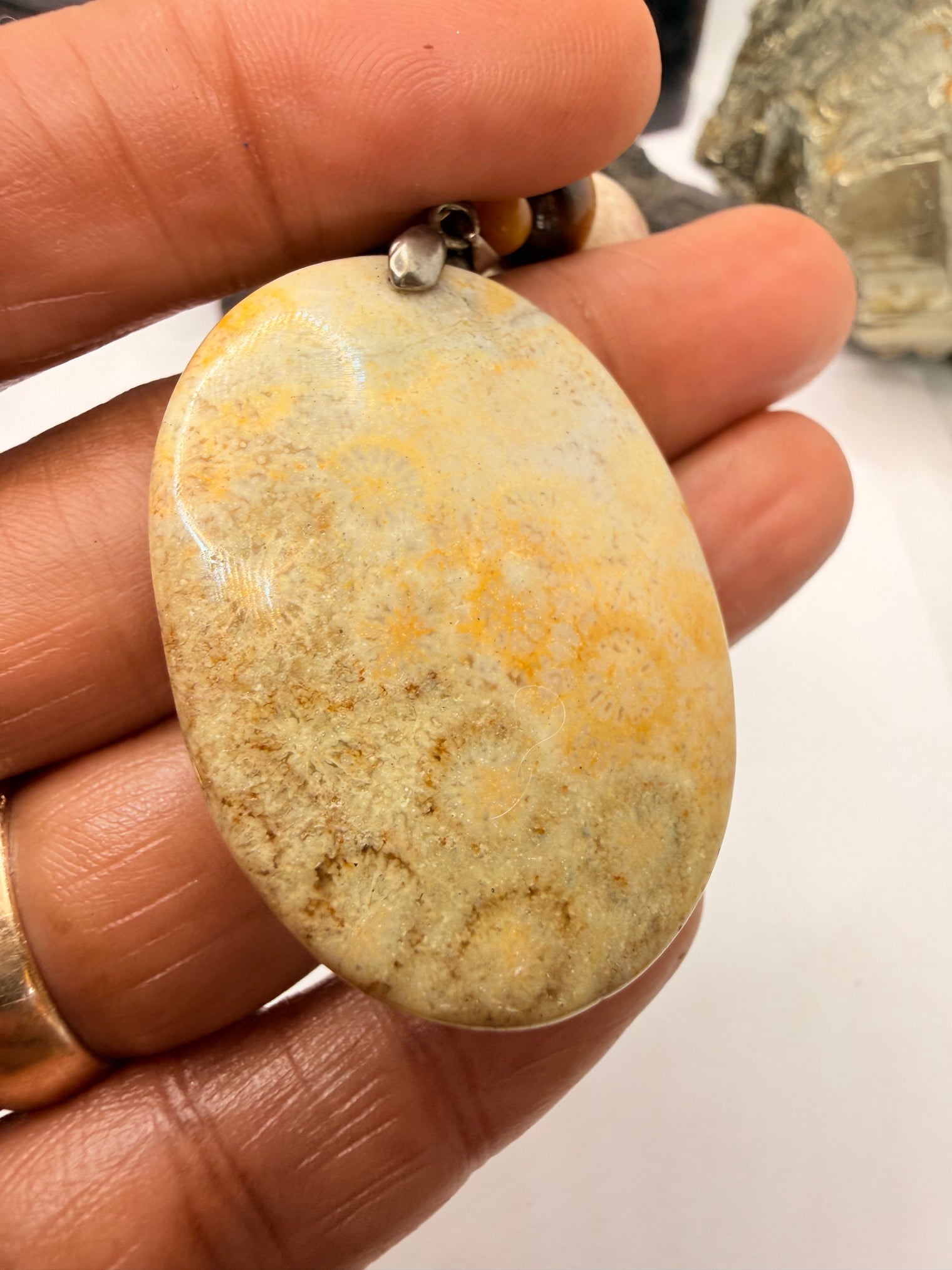 Tiger Eye and Fossil Coral Necklace and Fossil Coral Pendant ~ 20 Inches