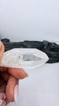 Lemurian Seed Crystal from Brazil 37 grams 2.5 inches