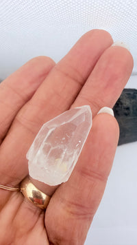 Lemurian Seed Crystal from Brazil 13 grams 1.25 inches