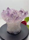Amethyst “Cupcake” Druzy Crystal Quartz 2.1 lb Specimen
