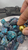 Chalcopyrite aka Peacock Ore 1-1.5 inch Rough Stone (1 stone)- MAGNETIC HIGH QUALITY