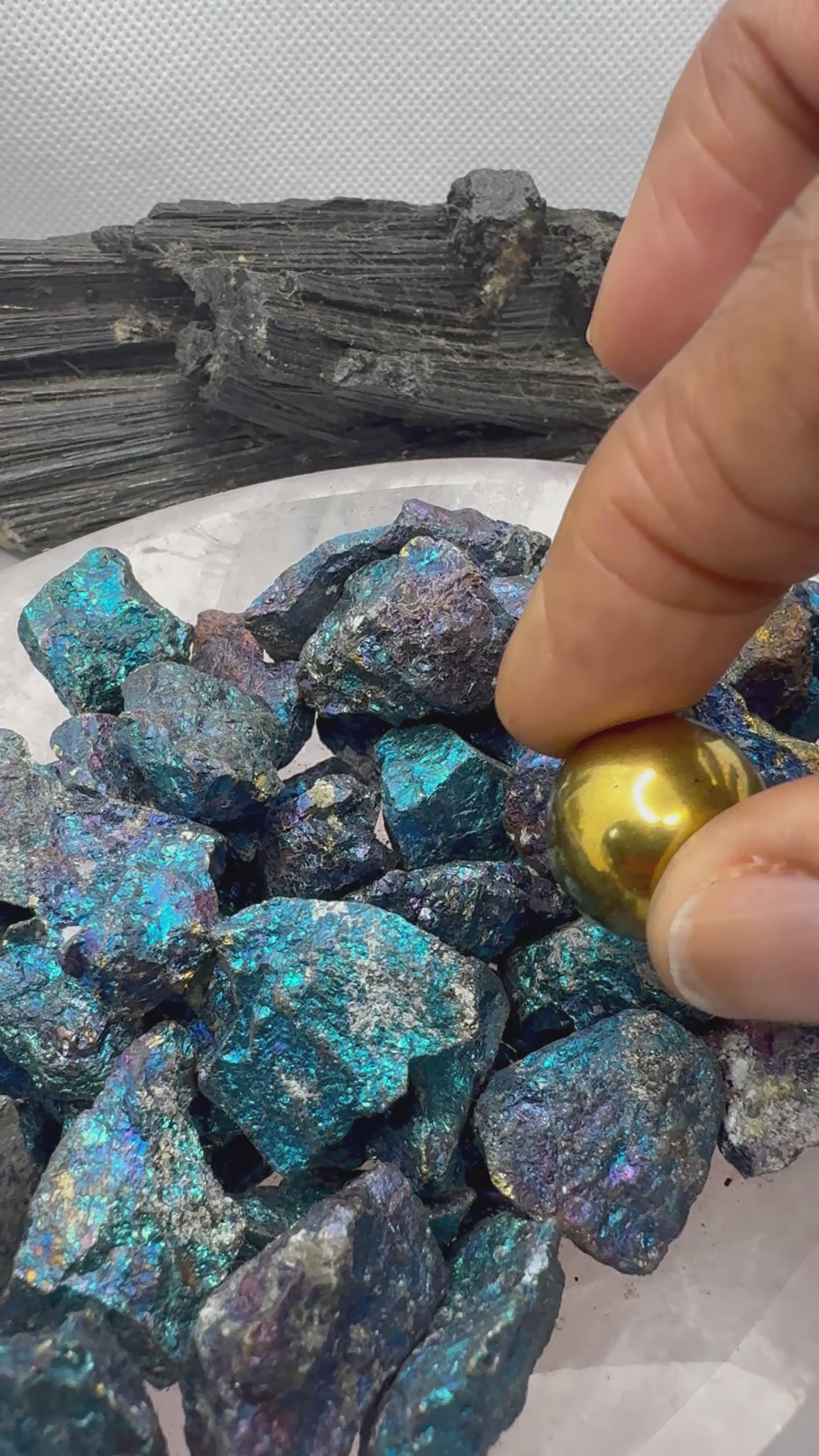 Chalcopyrite aka Peacock Ore 1-1.5 inch Rough Stone (1 stone)- MAGNETIC HIGH QUALITY