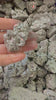 pyrite clusters