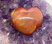 Petrified Wood 3- inch Heart Crystal Mineral Specimen