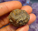 Prophecy Stone Limonite after Pyrite ~30 gm specimen - Infinite Treasures, LLC